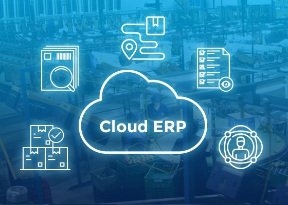 5 Benefits of Cloud ERP for Expanding Businesses
